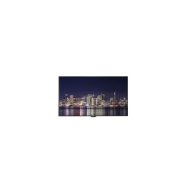 Monitor LG 43SM5KB LED 43" Full HD 1920x1080 WiFi HDMI DisplayPort...