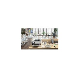 Canon MAXIFY GX6010 Inyección de tinta A4 600 x 1200 DPI 45 ppm Wifi